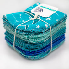 Load image into Gallery viewer, Wipes!