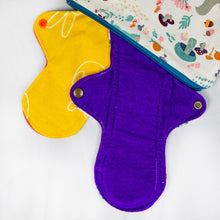 Load image into Gallery viewer, Sanitary Pads