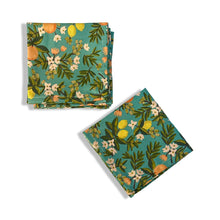 Load image into Gallery viewer, Cocktail Napkins